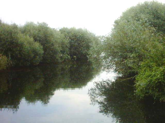 poaza cu Delta Dunarii