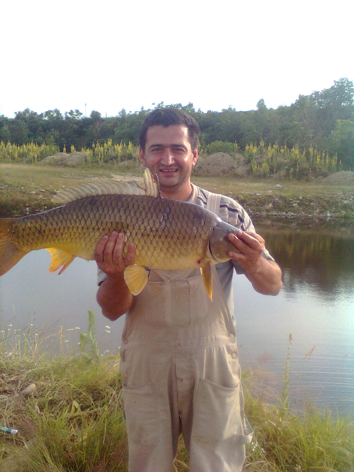 poaza cu Balta domeniul La papuc
