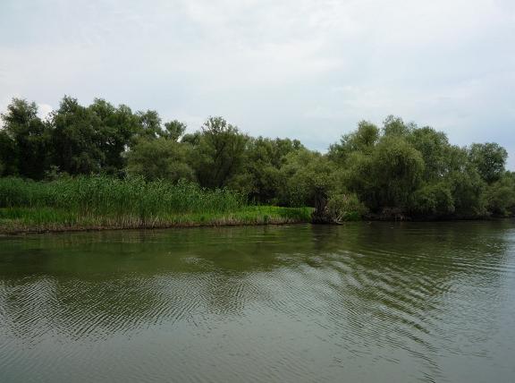 poaza cu Delta Dunarii Canlul Litcov