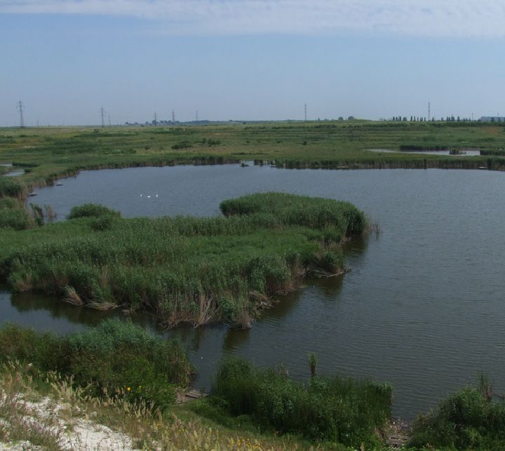 poaza cu Balta Blebea