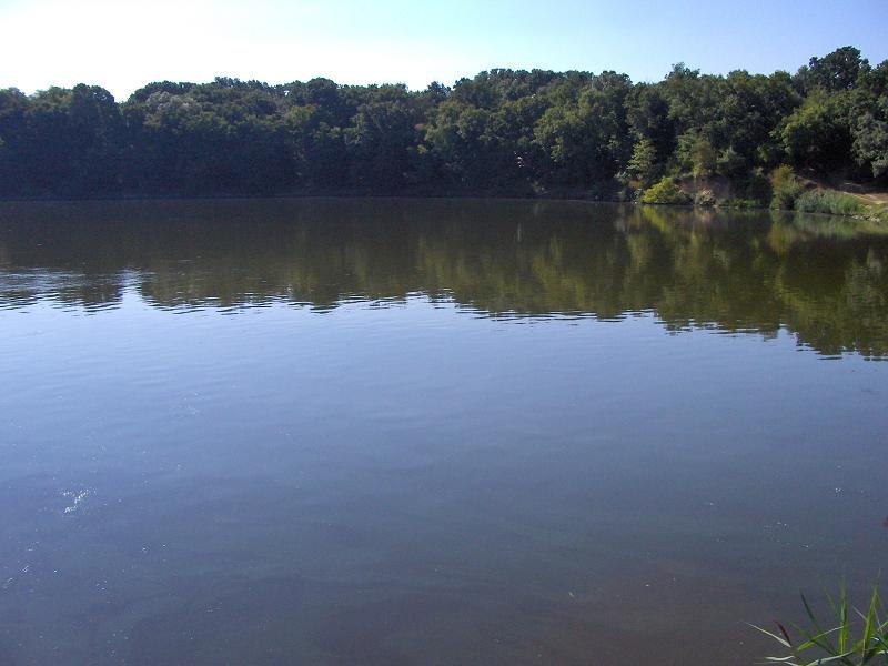 poaza cu Balta Branesti 3