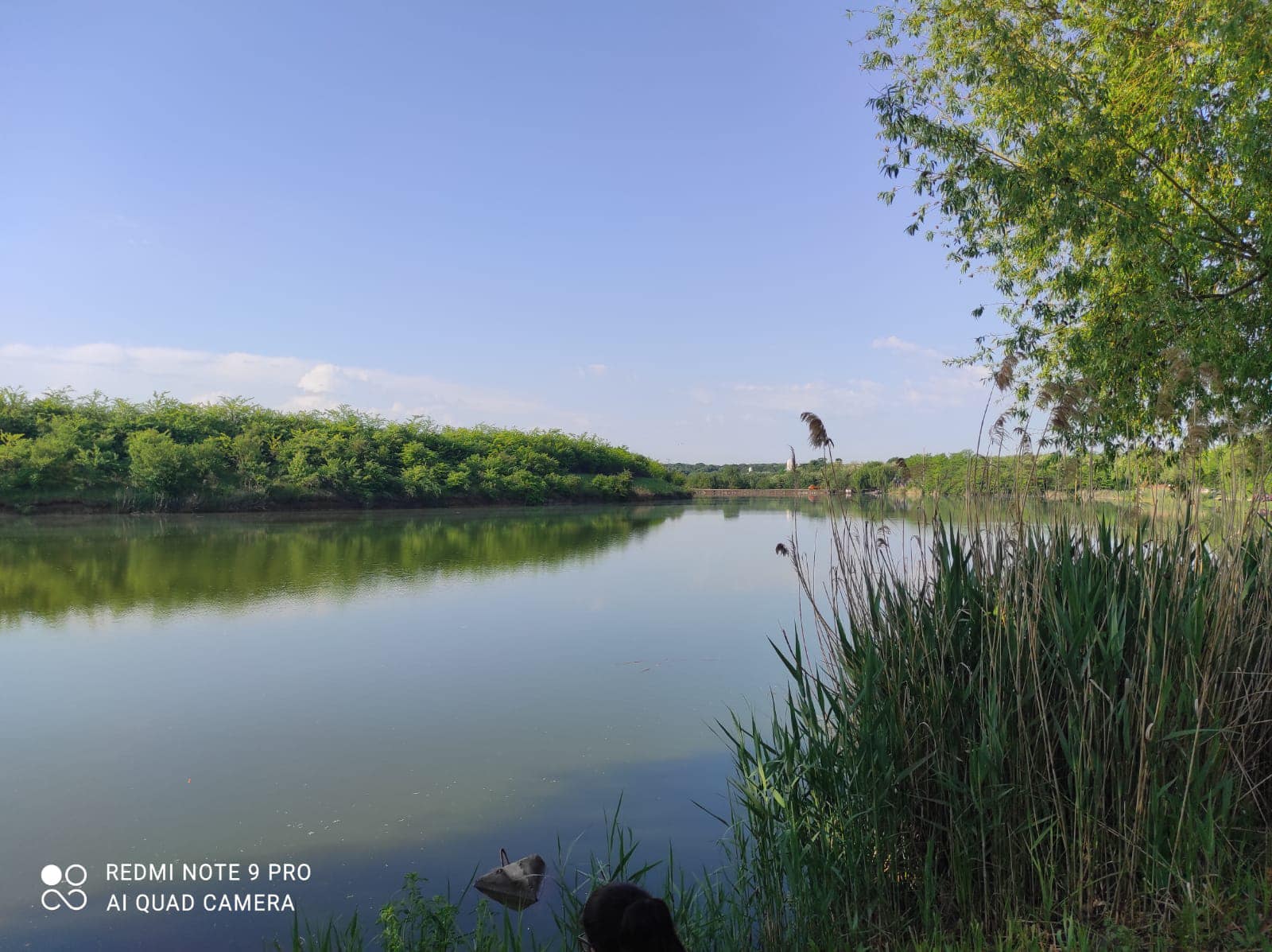 poaza cu Balta Piteasca 3