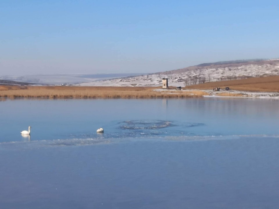 poaza cu Balta Iaz Ibaneasa