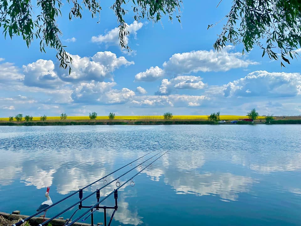 poaza cu Balta Plina