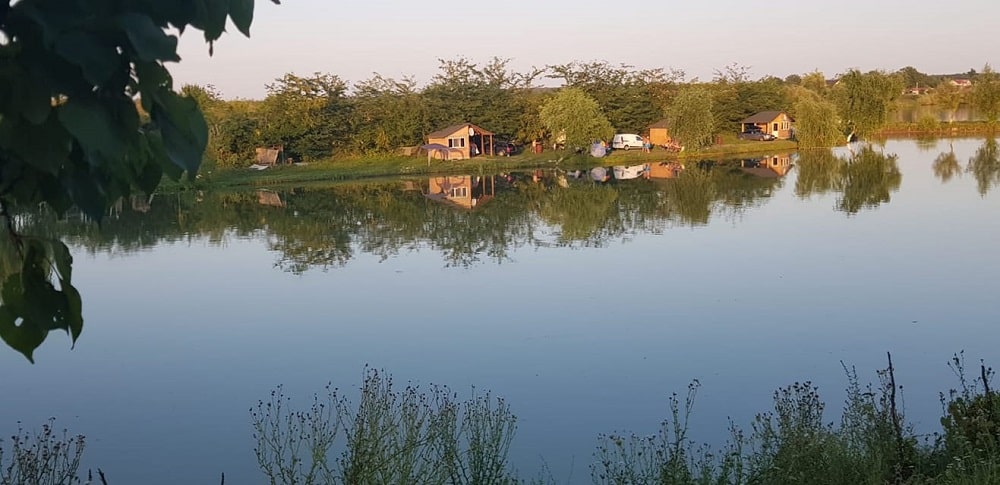 poaza cu Balta Piteasca 1