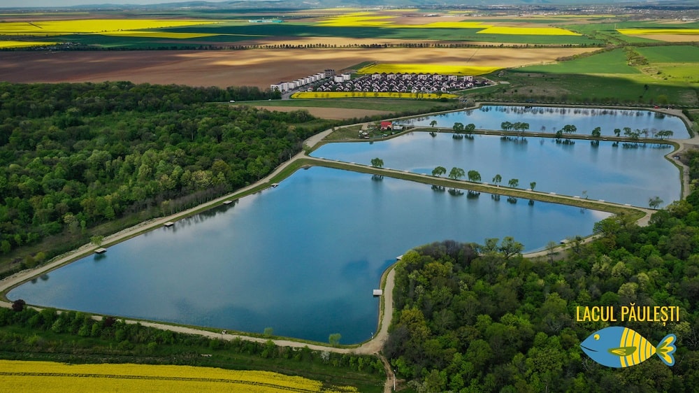 poaza cu Balta Paulesti 3