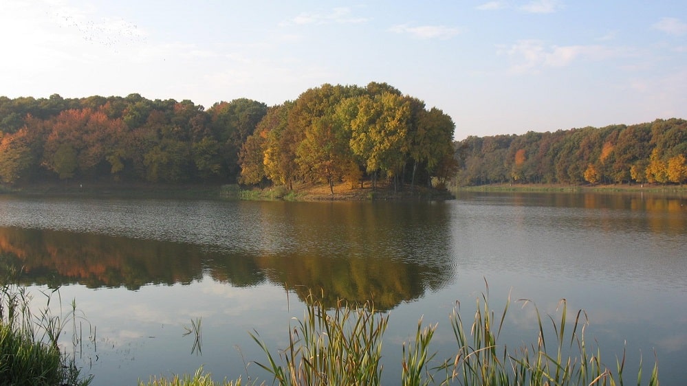 poaza cu Balta Sisterea
