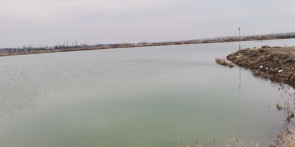 poaza cu Balta Ceorpelarilor