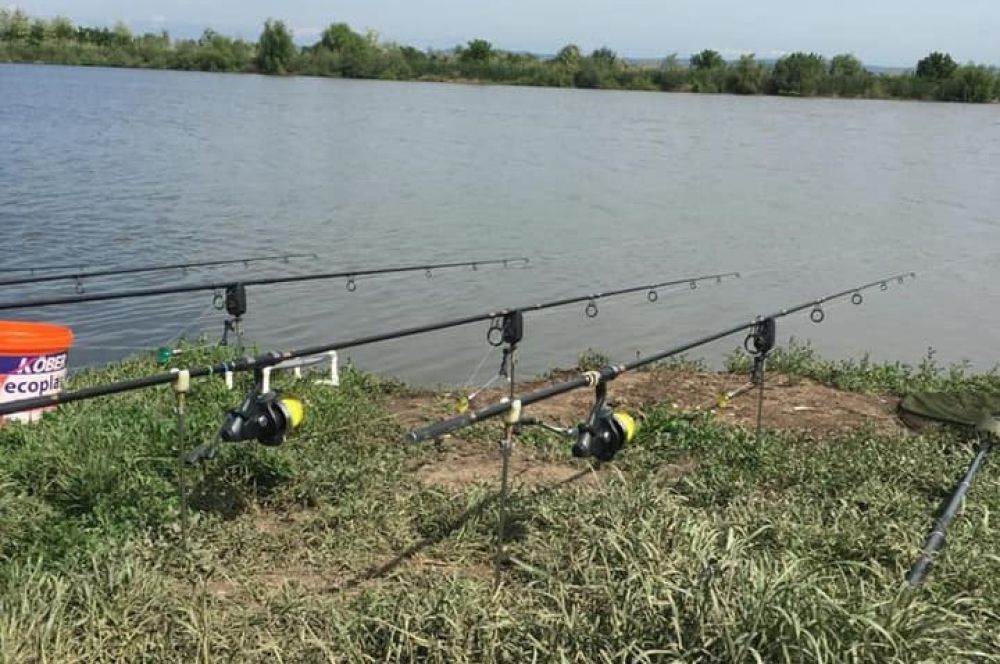 poaza cu Balta Valea Razboiului - Fulga