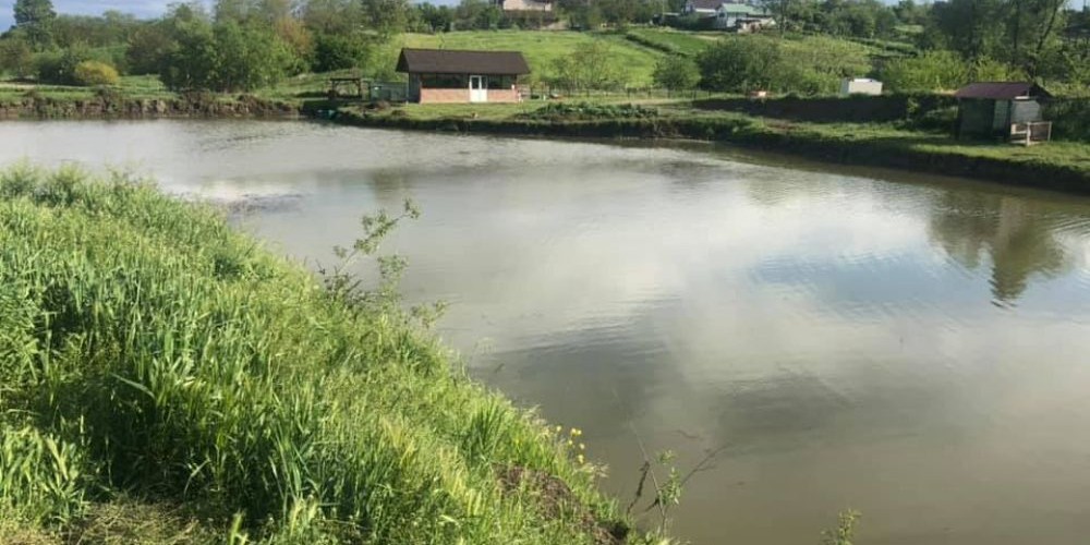 poaza cu Balta Valea Morii Sofracesti