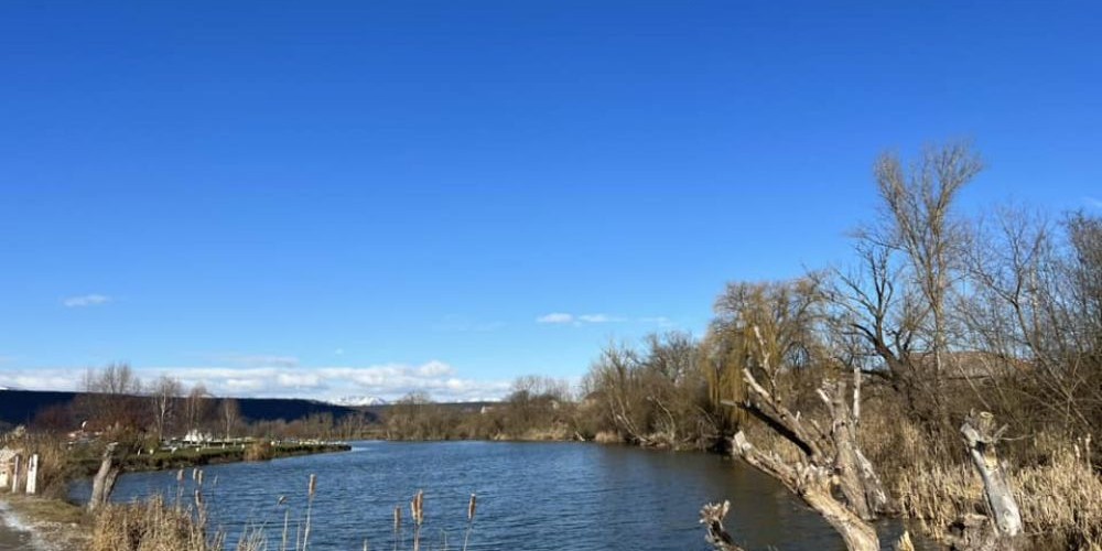 poaza cu Balta Pescaria Radesti
