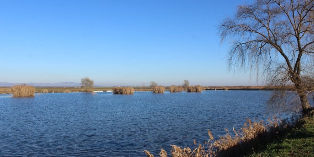 poaza cu Balta Magula 1