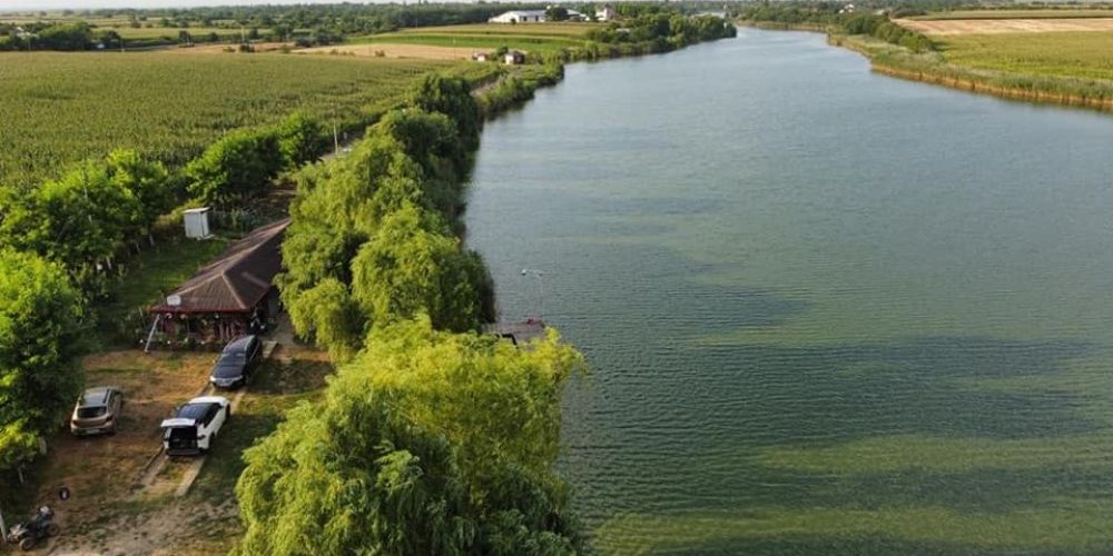 poaza cu Balta La Moara Salciile