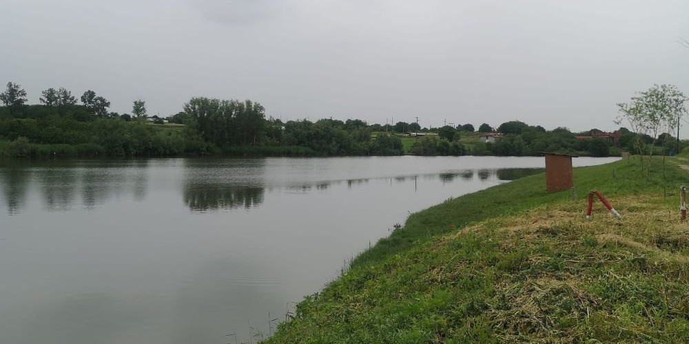 poaza cu Balta Roveng