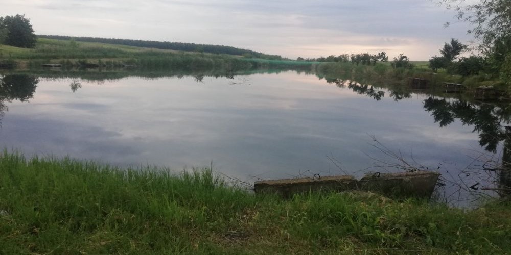 poaza cu Balta Chiroiu 3