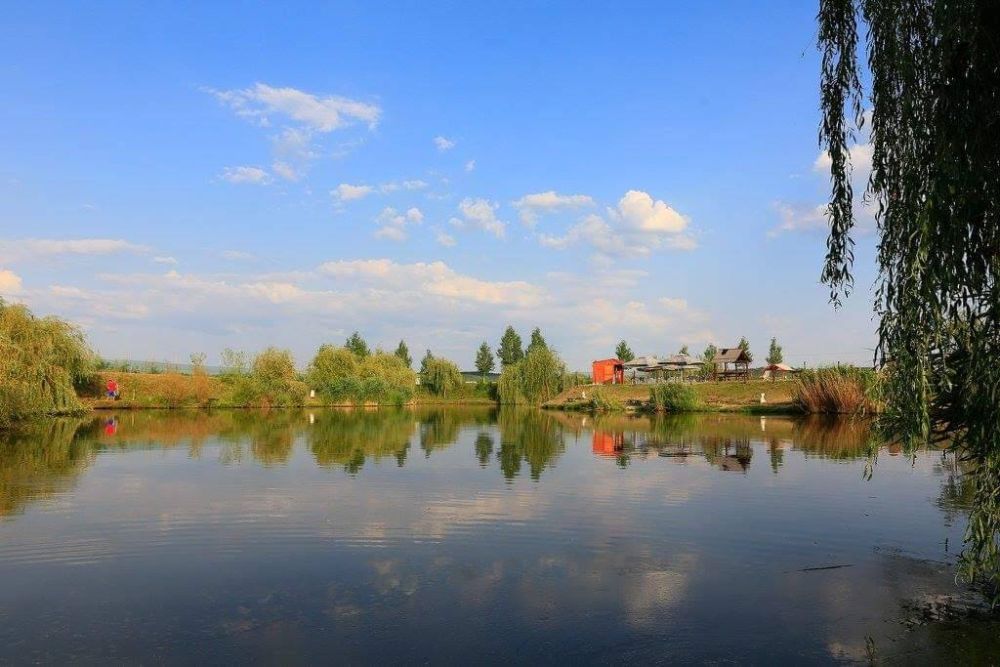 poaza cu Balta Biharia