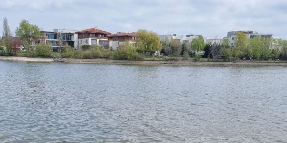 poaza cu Balta Grivita