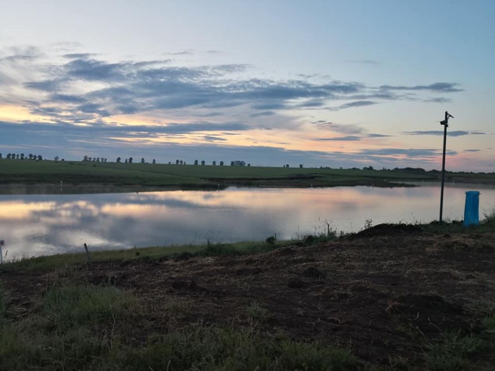 poaza cu Balta Berzei