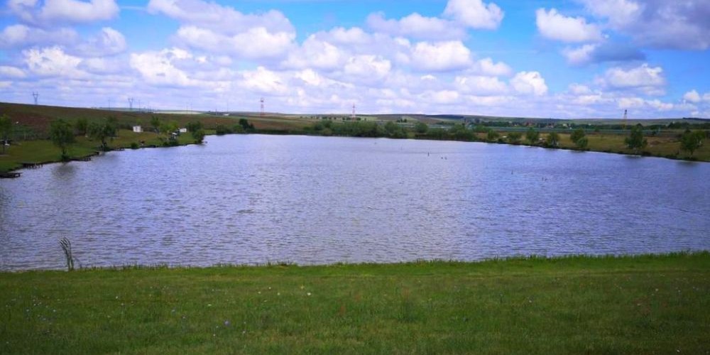 poaza cu Balta Sustra