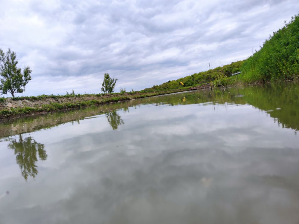 poaza cu Balta Feleacu