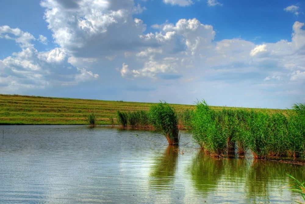 poaza cu Balta Iaz Loesti