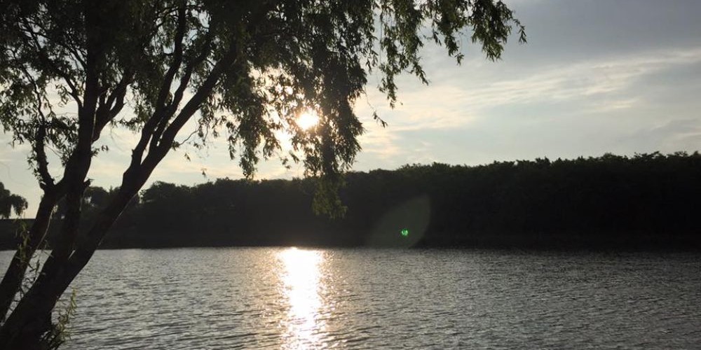 poaza cu Balta Baneasa