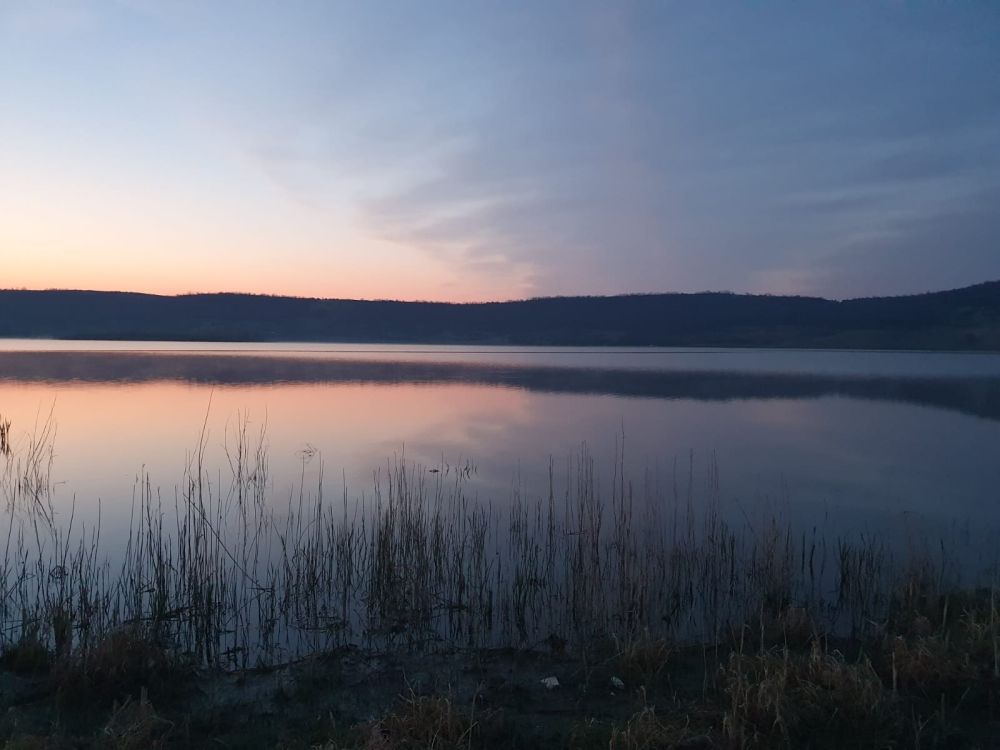 poaza cu Balta Pereschiv Fichitesti