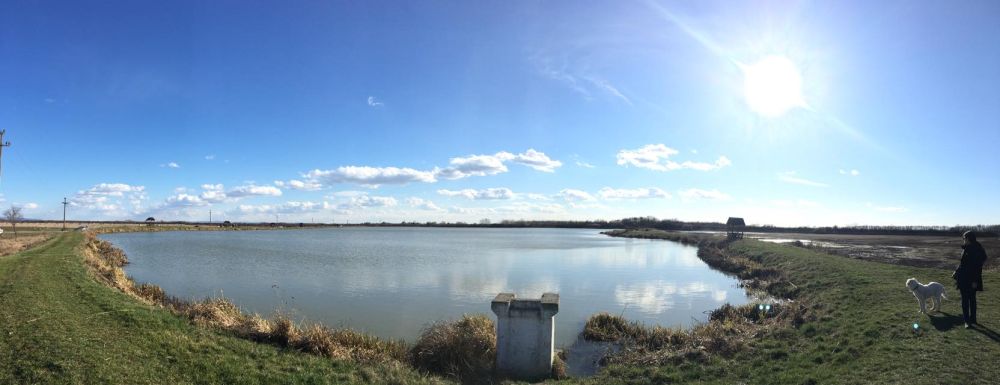 poaza cu Balta Dobra Pescarului