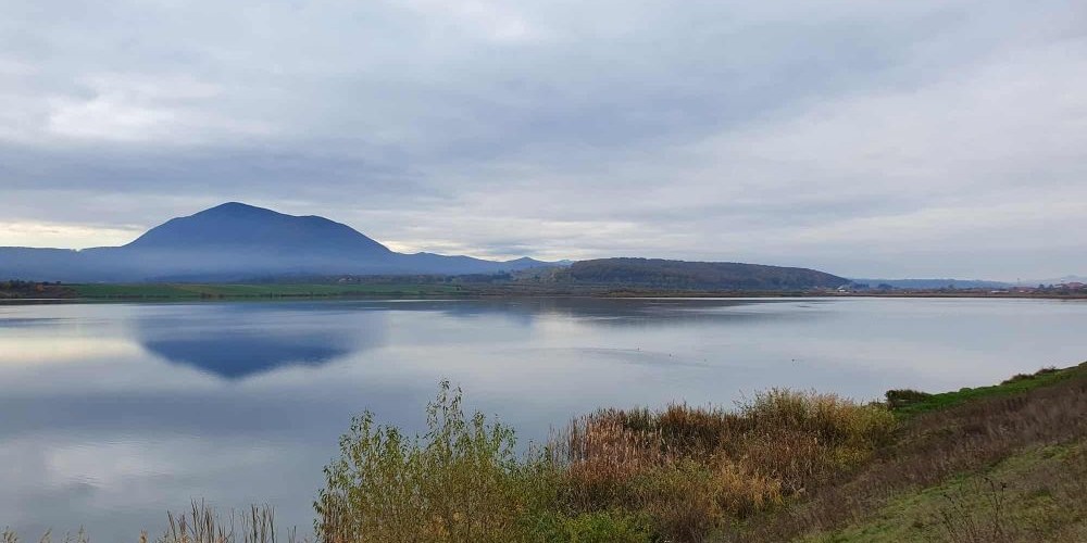 poaza cu Balta Dumbravita