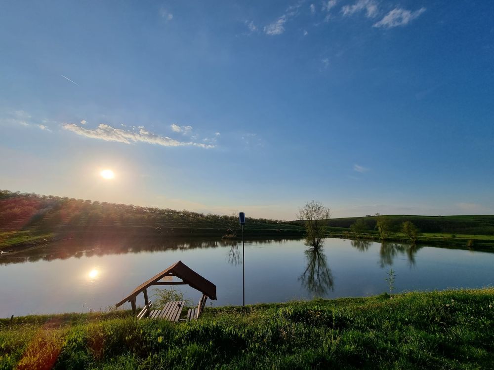 poaza cu Balta Pescaria Jolta