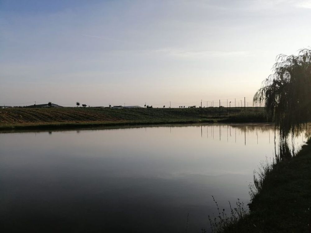 poaza cu Balta Cruceni