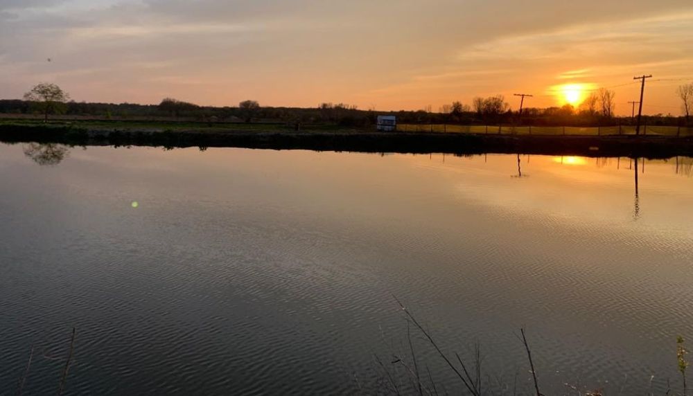 poaza cu Balta Eden Fish