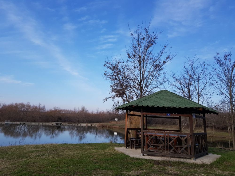 poaza cu Balta Carcea