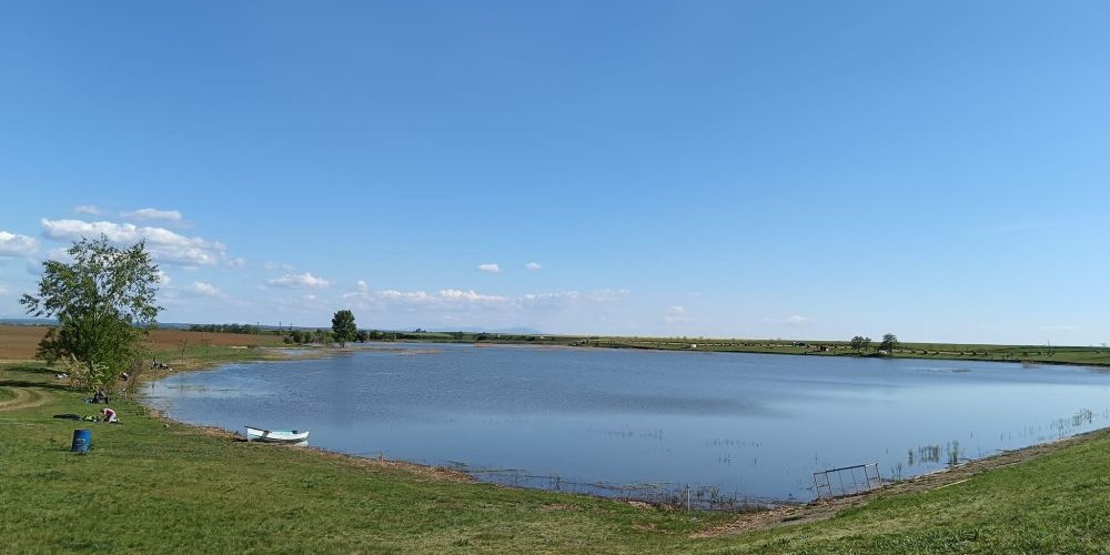 poaza cu Balta Livada de bihor