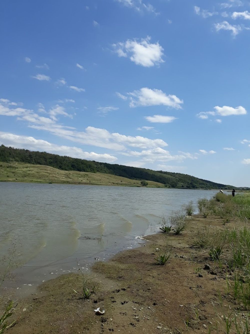 poaza cu Balta Bibiresti