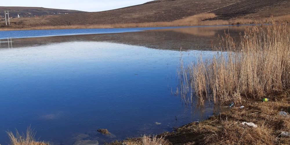 poaza cu Balta Rediu