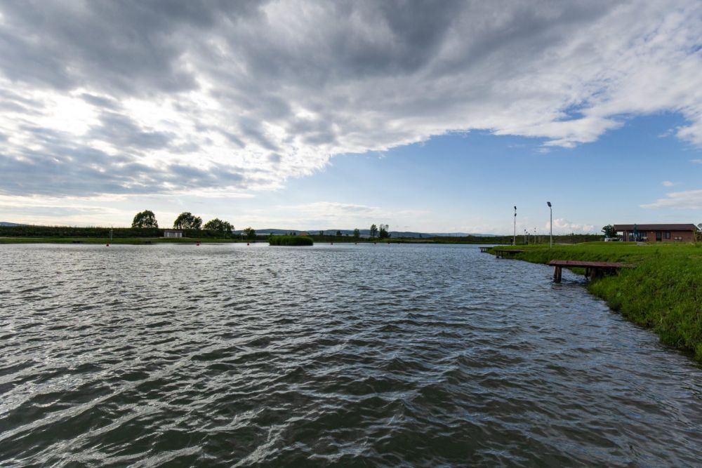 poaza cu Balta Aurelia