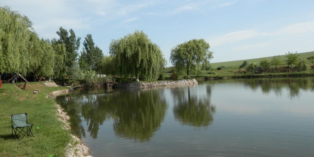 poaza cu Balta Horvi