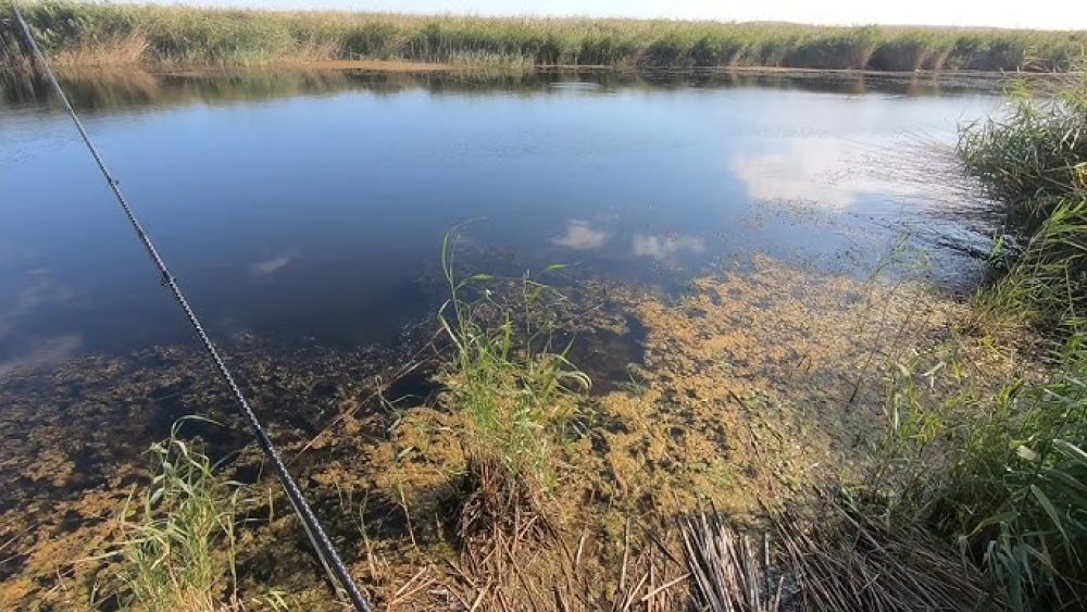 poaza cu Balta Sălcioară (6 Martie) - Mare