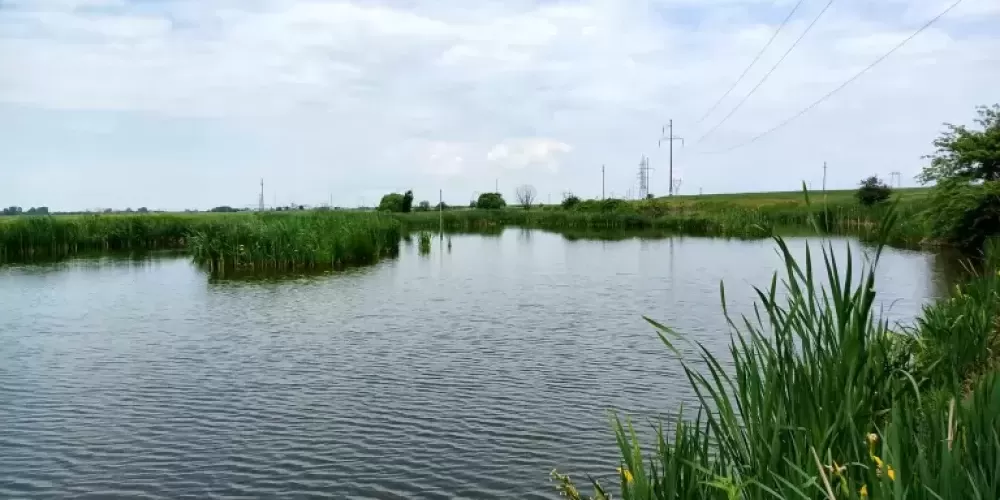 poaza cu Balta Babaroaga