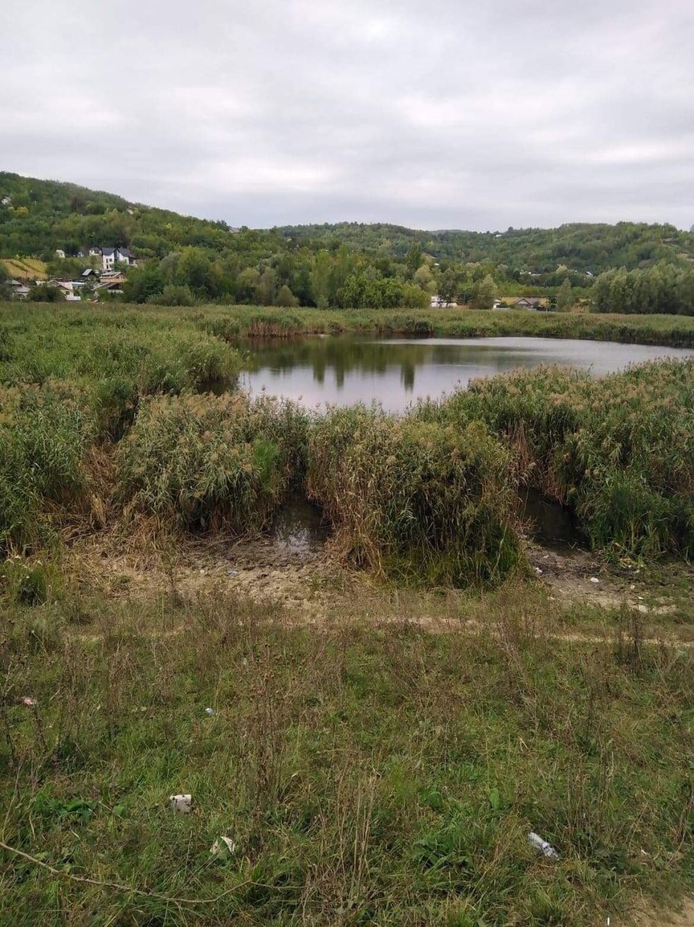 poaza cu Lacul Phoenix