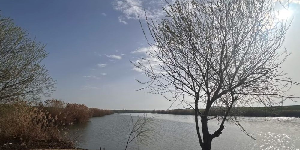 poaza cu Balta Valea Lunga