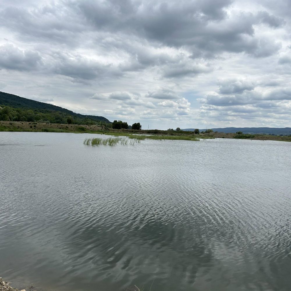 poaza cu Balta Lagos