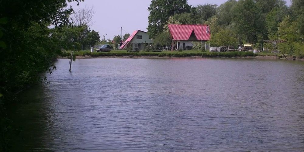 poaza cu Balta Pescaria Otvesti