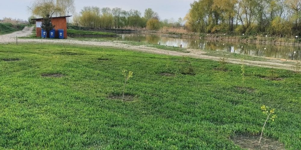 poaza cu Lacul Beresti