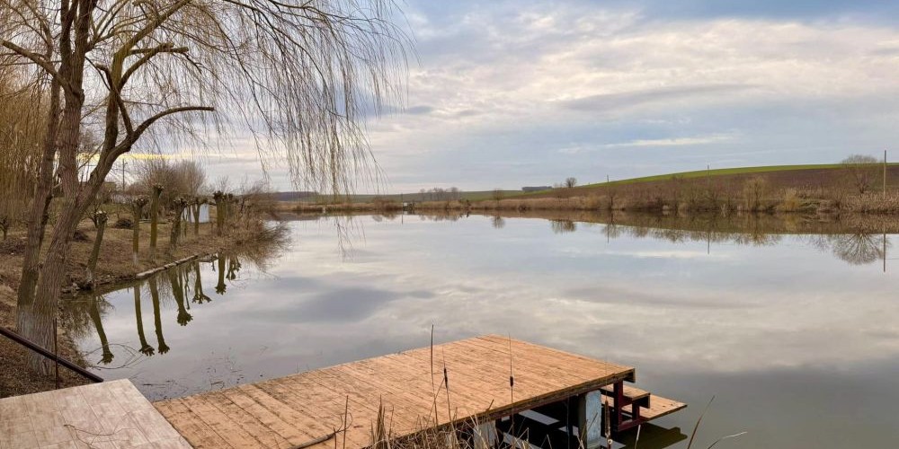 poaza cu Balta Domeniul Cazacu