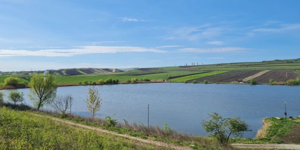 poaza cu Balta Tureni