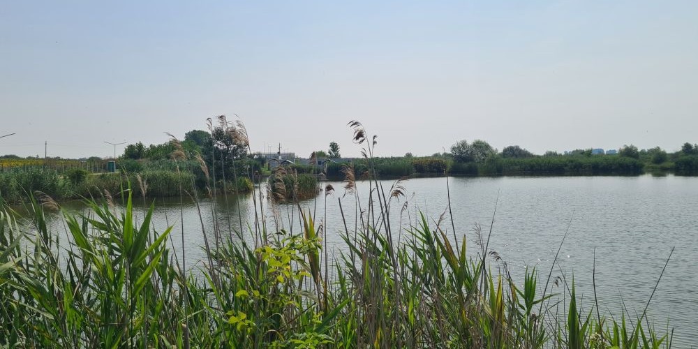 poaza cu Lacul Bistret