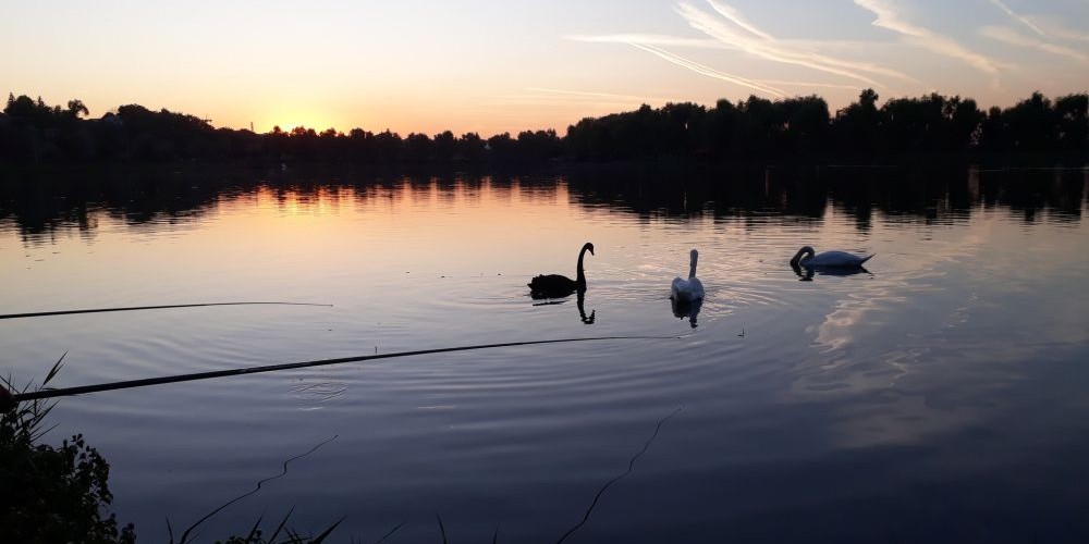 poaza cu Balta Floarea Popestiului