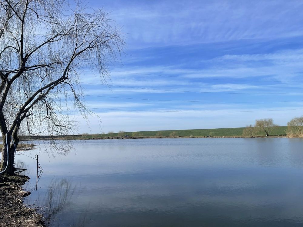 poaza cu Balta Movilita Vie